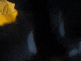 Poop GIF