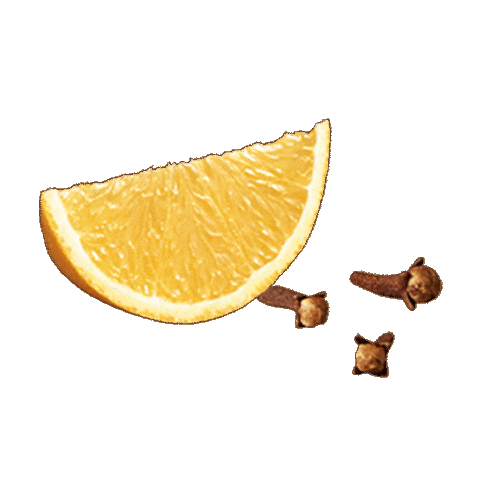 Orange Pomaranc Sticker by orlenunipetrol