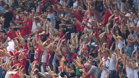giphy.gif?cid=ecf05e47ea14817c3dc98a7cff65f165177b00e3a1758216&rid=giphy.gif