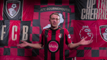 GIF by AFC Bournemouth
