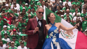 World Cup GIF