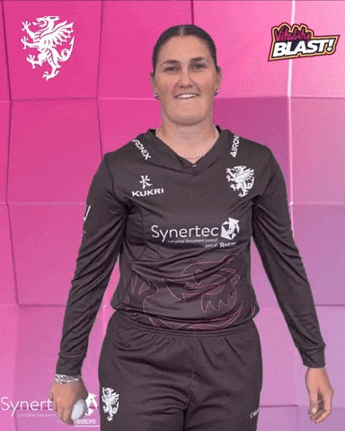 T20 Vitality Blast GIF by Somerset County Cricket Club