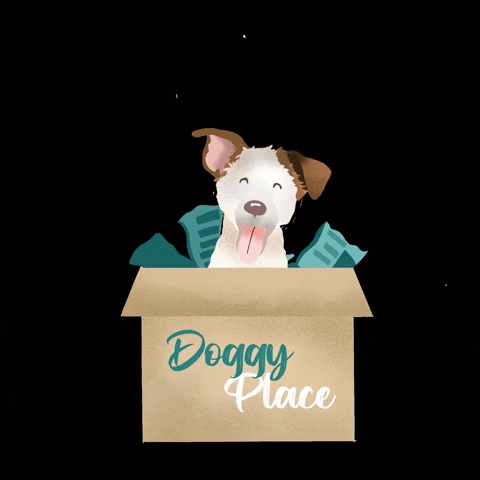 doggyplace dog june russell terrier GIF