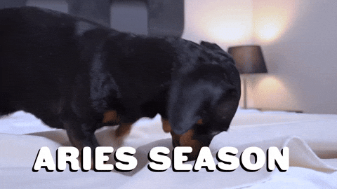 GIF