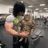 Derek Mercer with GIGACAT