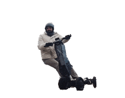 Dflysportscooter Sticker by D-Fly