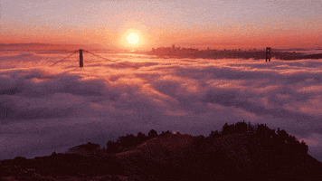 Bridge Fog GIF