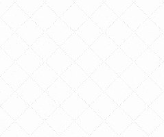 World YWCA GIF