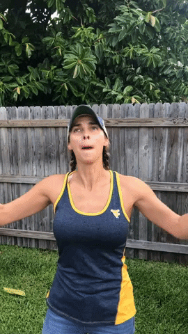 Cider Hardcider GIF by Swilled Dog