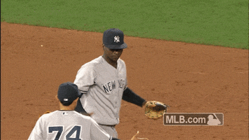 new york yankees hug GIF by MLB