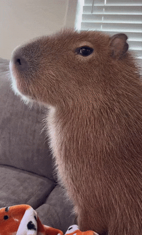 Son Folk GIF