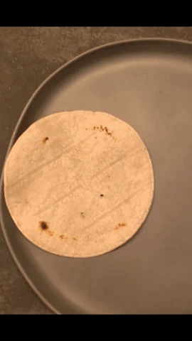 Fish Tacos GIF