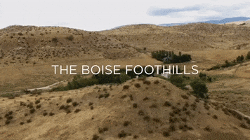 Cross Country Running GIF by Boise State University