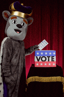 Vote Election GIF by James Madison University