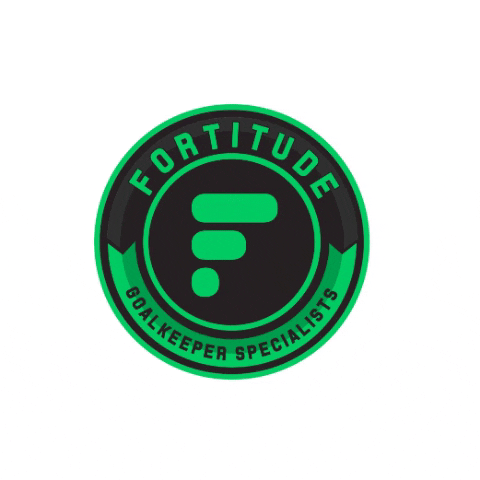 Fortitude Hockey GIF