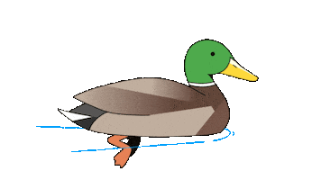 Chill Duck Sticker by Diane