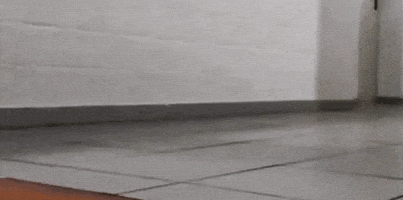 Needforseat GIF by MAXNOMIC