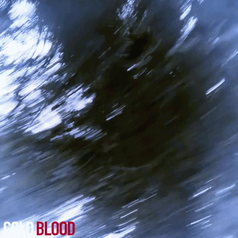 screenmediafilms screen media films screen media cold blood cold blood movie GIF