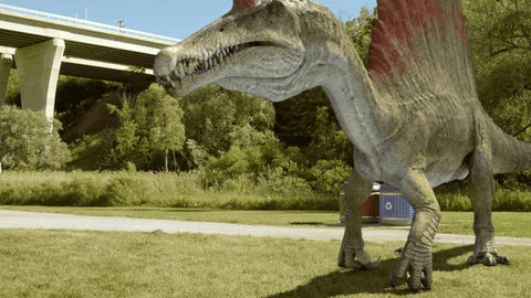 Dinosaurs Dinosaur Movie GIF by Dino Dana - Find & Share on GIPHY