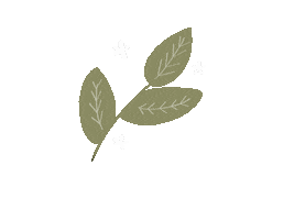 Wildandwoods Sticker