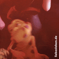 Sexually Transmitted Disease Dancing GIF by LIEBESLEBEN