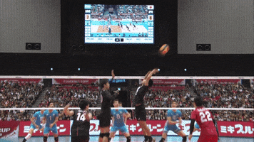 Japan Celebrate GIF by Volleyball World