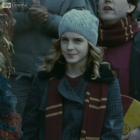 Harry Potter Yes GIF by Sky