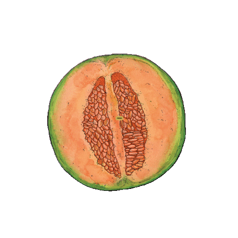 Summer Relax Sticker by Fratelli Orsero