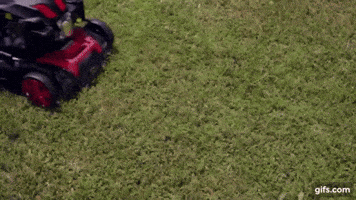 Munditol GIF
