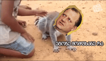 Animated GIF