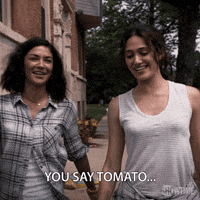 episode 5 showtime GIF by Shameless