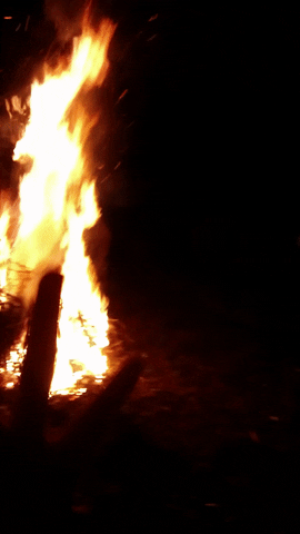 oanagreceagmailcom  GIF