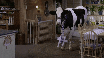 111 GIF
