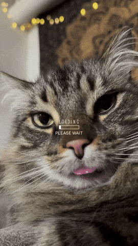 Mrwhiskerz GIF