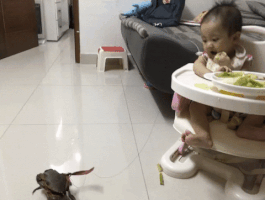 choideptb bong thoi khanh trang khanh an khanh dep trai GIF