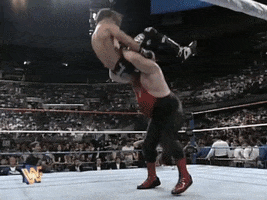 wwe sports wwe wrestling 1996 GIF