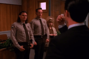 season 2 episode 10 GIF by Twin Peaks on Showtime