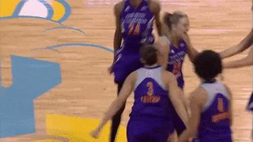 diana taurasi GIF by WNBA