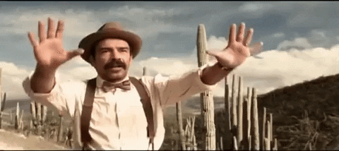 giphy.gif?cid=790b761153544b2a70bcf7730b