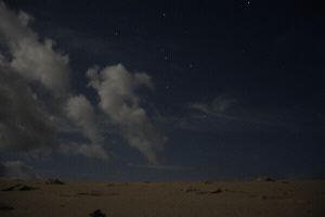 tornikesanadze  GIF