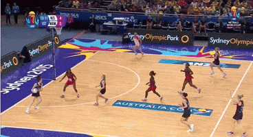 netball  GIF