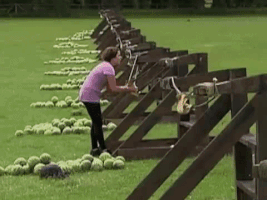 amazingorfunny fail face watermelon epic fail GIF