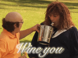 love GIF by Tim and Eric