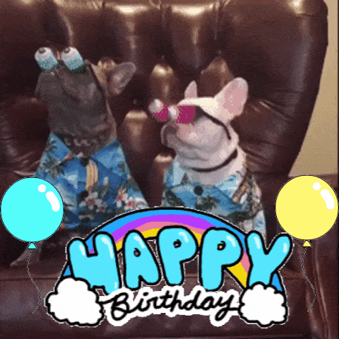 Happy Birthday Funny Gifs Get The Best Gif On Giphy