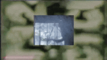 kevinholmes910gmailcom  GIF
