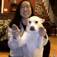 Dog Clapping GIF by The Standing O
