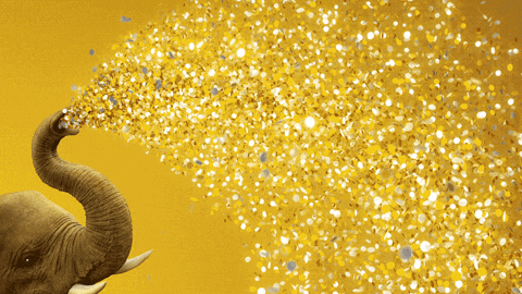 celebrate new year GIF by San Diego Zoo - celebrate new year GIF by San Diego Zoo