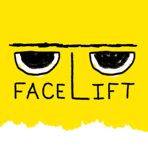 facelift GIF by alexchocron