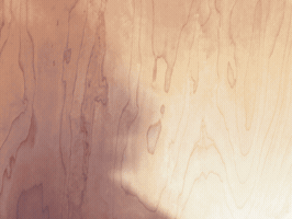 carstenchristian  GIF
