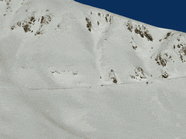 avalanche neige GIF by Le Monde.fr